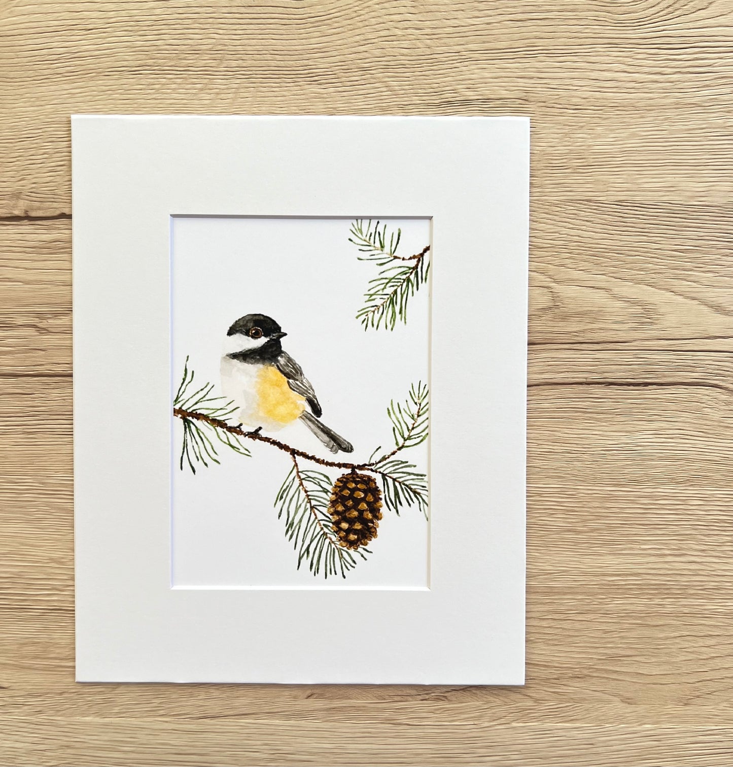 Chickadee with Pinecone